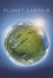 دانلود زیرنویس فارسی مستند Planet Earth II