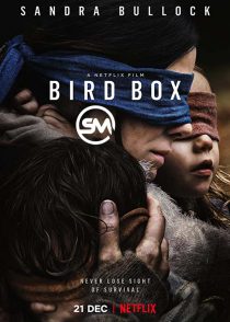 دانلود زیرنویس فارسی فیلم Bird Box 2018