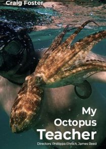 دانلود زیرنویس فارسی مستند My Octopus Teacher 2020