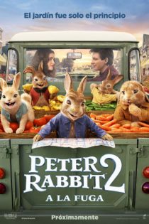 دانلود زیرنویس فارسی انیمیشن Peter Rabbit 2: The Runaway 2021