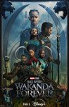 دانلود زیرنویس فارسی فیلم Black Panther: Wakanda Forever 2022