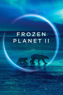 دانلود زیرنویس فارسی مستند Frozen Planet II